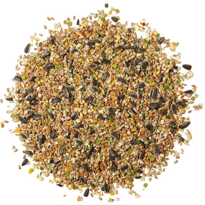 Landleben Freiland Körnerfutter Auslese